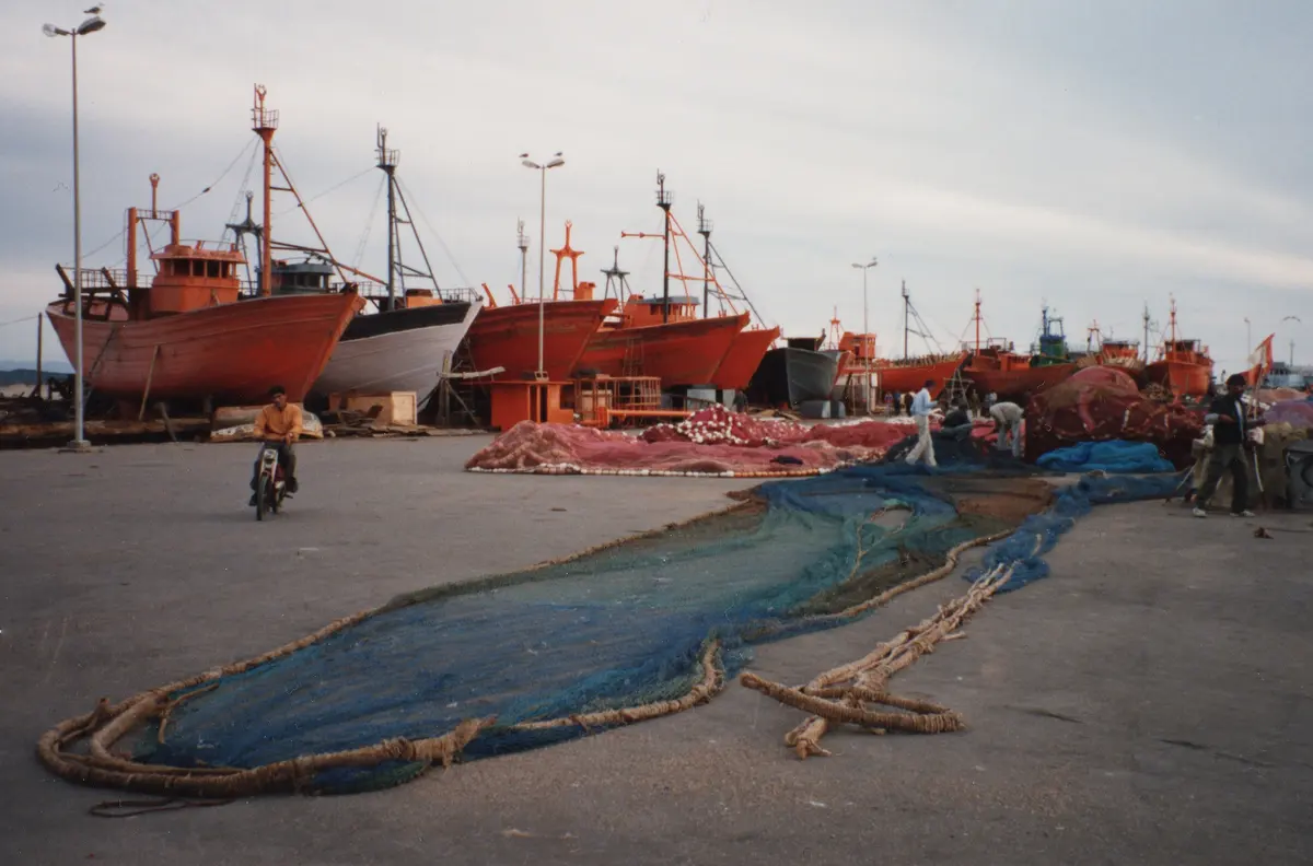Blue fishing boats in the Essaouira harbour