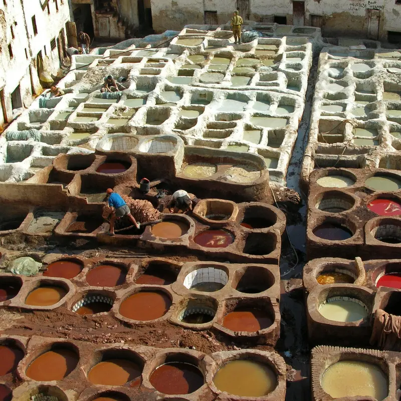 The dye pits of the Chouara tannery seen from above