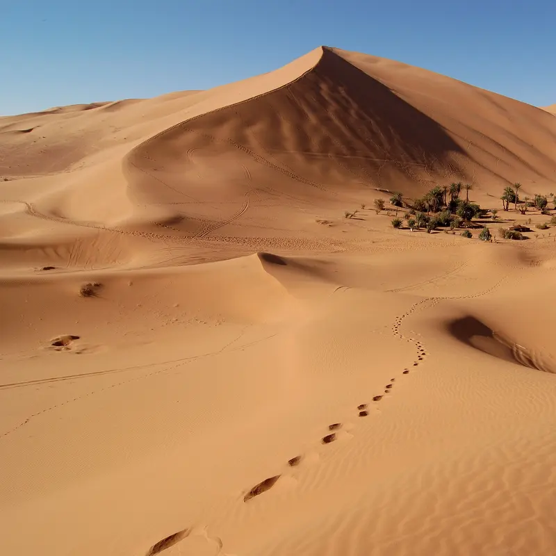 Sunrise light on the Erg Chebbi dunes