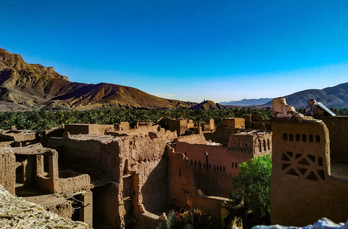 A palm oasis in the Draa valley